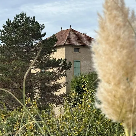 La Maison Carree - Escape To Timeless French Charm 펜션 Chalabre