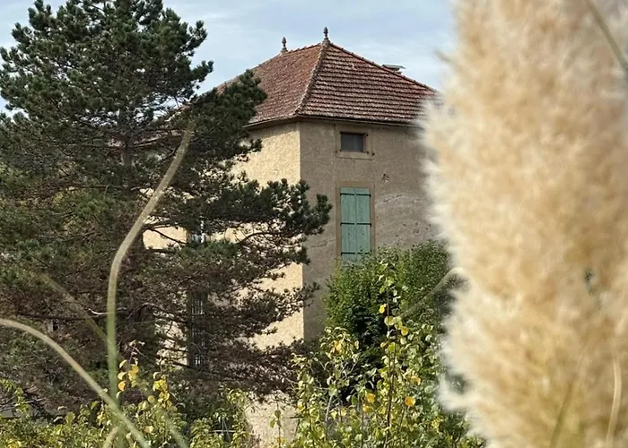 La Maison Carree - Escape To Timeless French Charm 別荘 Chalabre